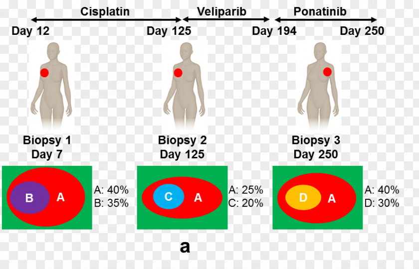 Statistical Inference University Of Wisconsin-Madison Cancer Fludeoxyglucose Research Science PNG