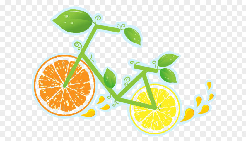 Bicycle Wheels Lime Lemon PNG