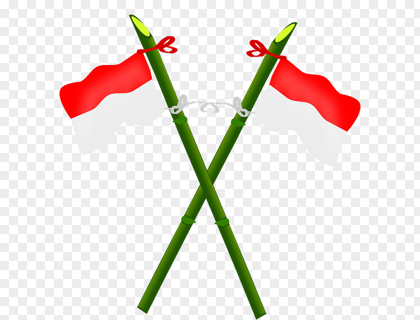 Flag Of Indonesia Clip Art Indonesian National Revolution PNG