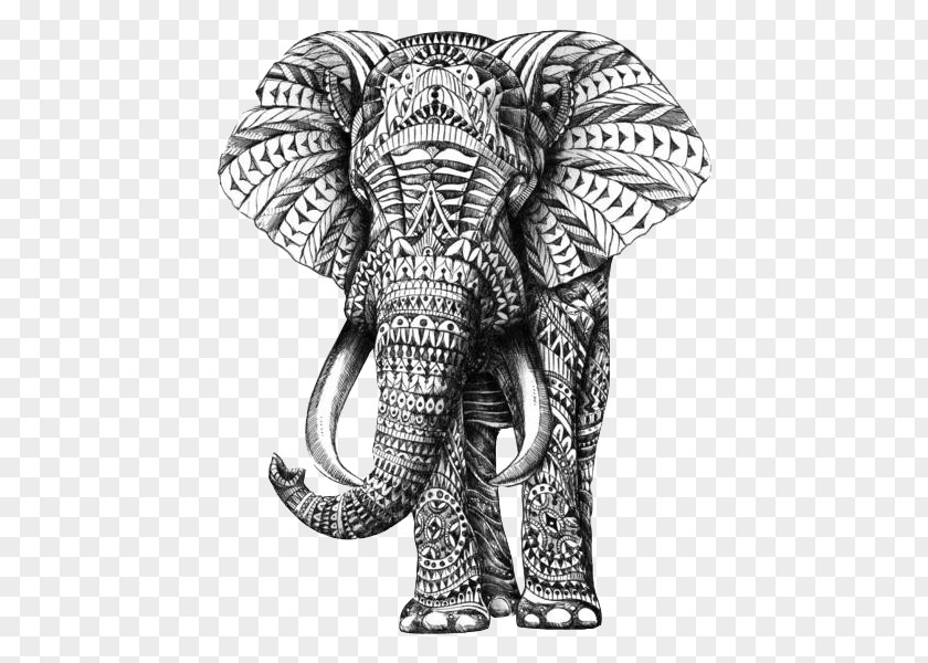 Painted Elephant Stock Image Indian Drawing Ornament Sketch PNG