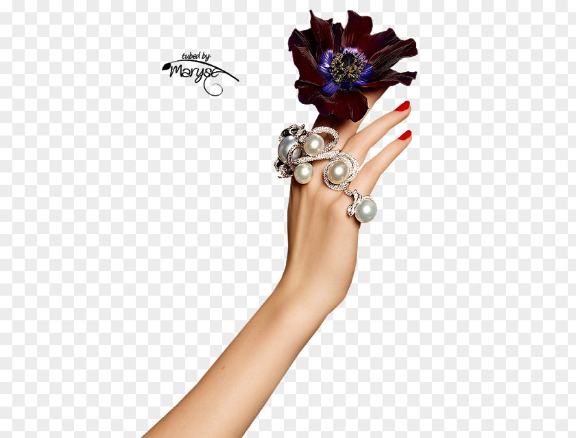 Painting Drawing Jewellery PNG