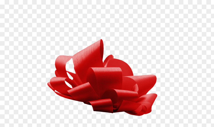 Ribbon Gift PNG