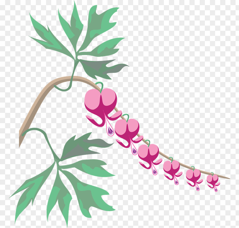 Versus Branch Leaf Clip Art PNG