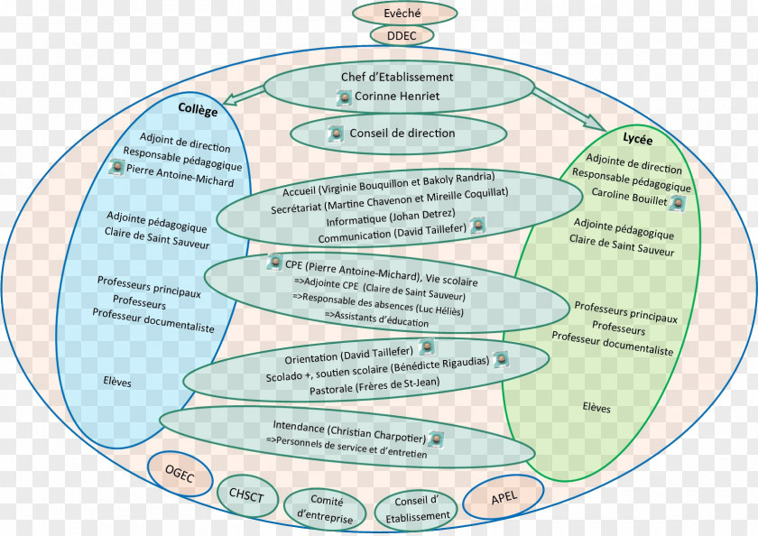 Water Diagram Organism Line PNG