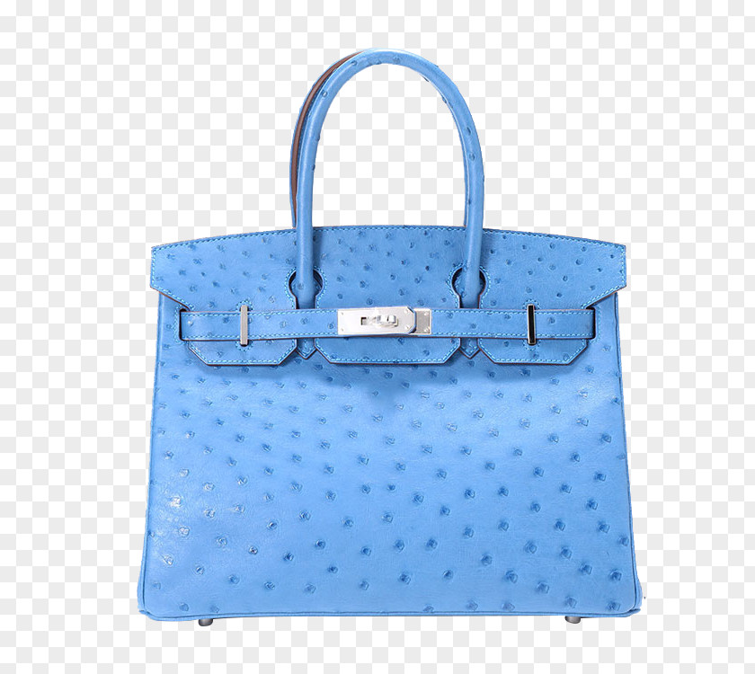HERMES (Hermes) Sea Blue Ostrich Handbag Tote Bag Chanel Birkin Hermxe8s PNG