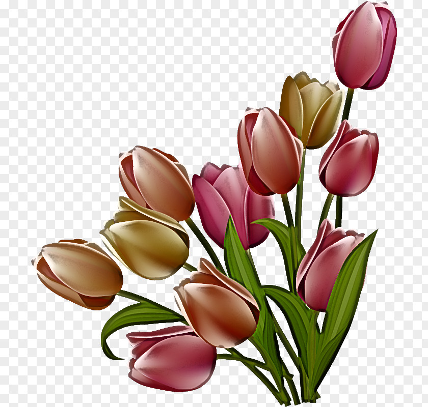 Artificial Flower PNG