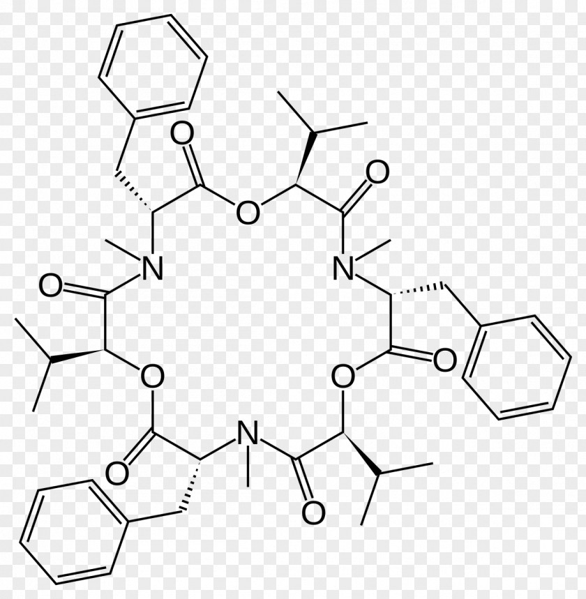 Beauvericin Shikimate Pathway Vancomycin Tyrocidine Lampyris Noctiluca PNG