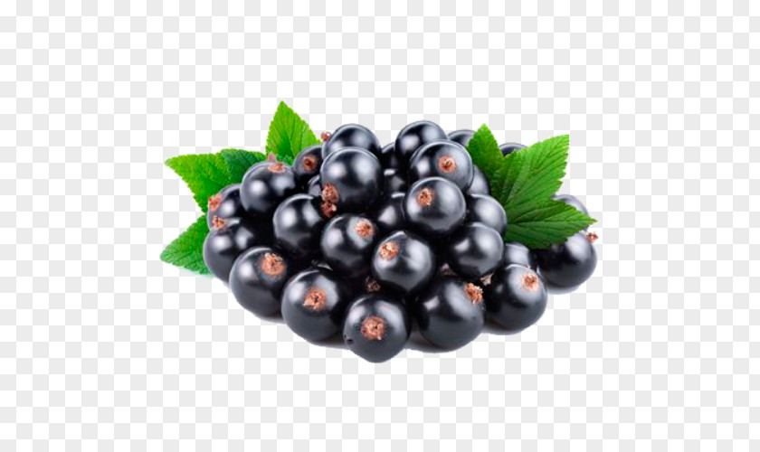 Blueberry Blackcurrant Redcurrant Fruit Gelatin Dessert Squash PNG