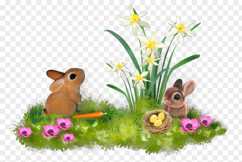 Easter Domestic Rabbit Hare Flora Fauna Meadow PNG