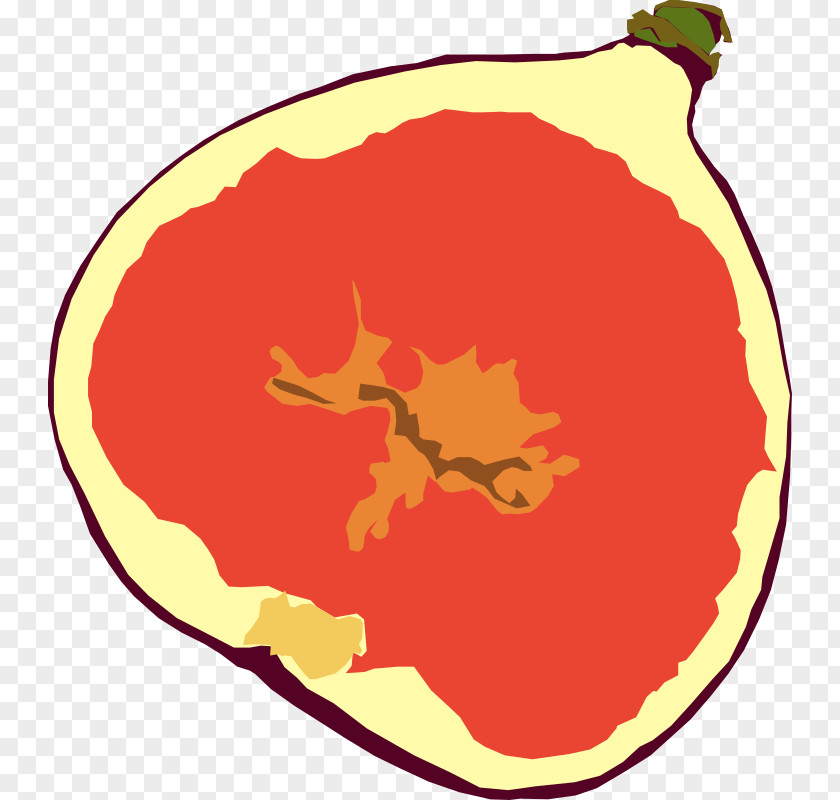 Fig Fruit Common Clip Art PNG