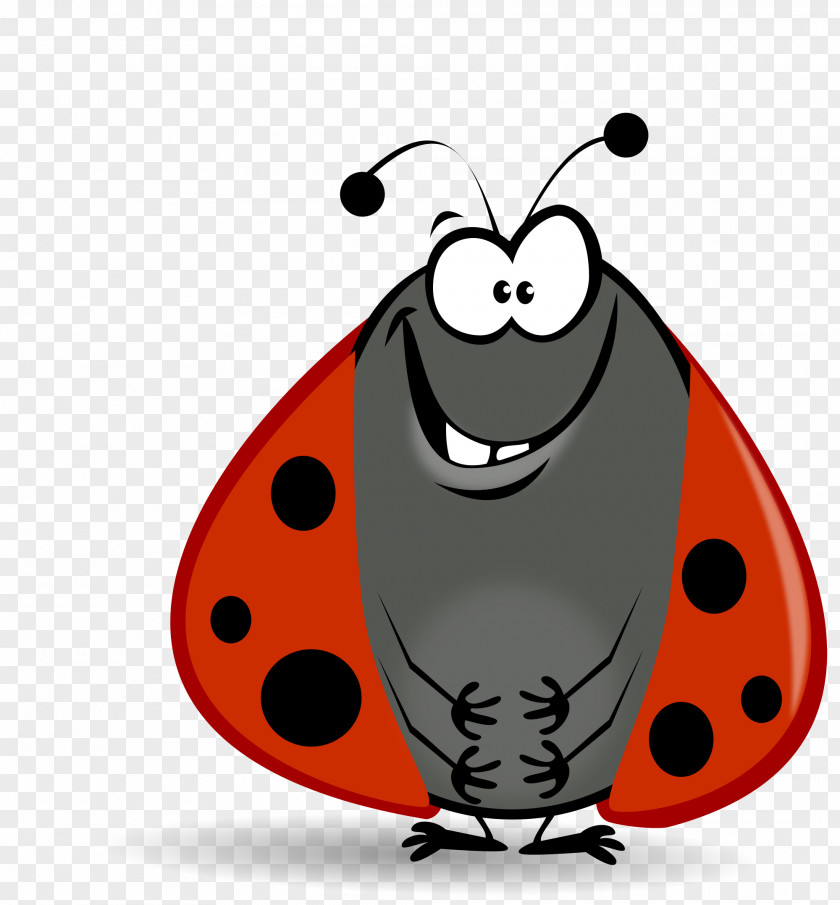 Ladybug Ladybird Cartoon Drawing Clip Art PNG