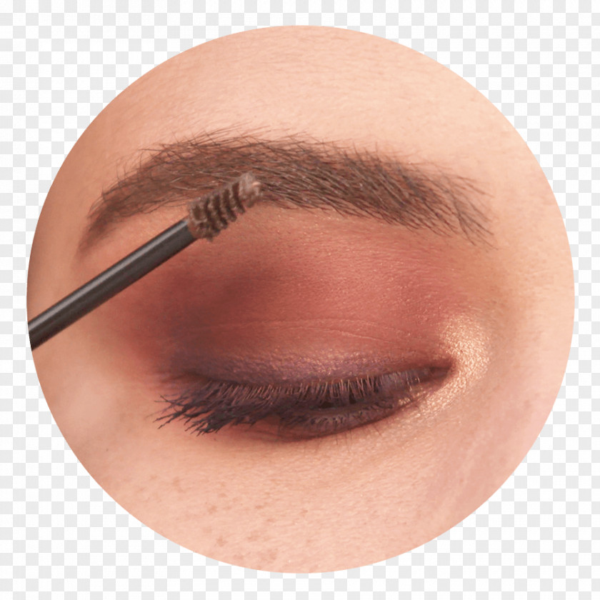Natural Eyebrows Eyelash Extensions Eye Shadow Close-up PNG