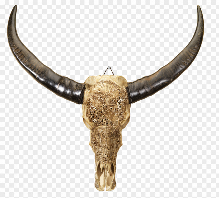 Skull Human Water Buffalo Bone Horn PNG