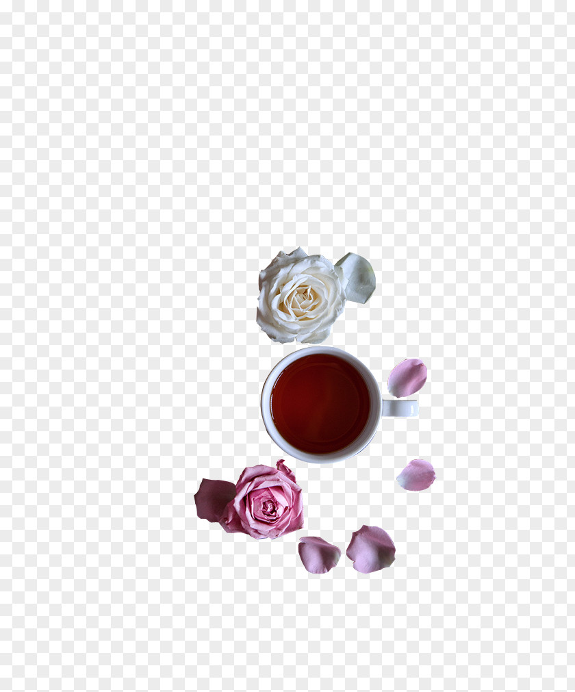 Tea Renderings Flowering Green Rendering PNG