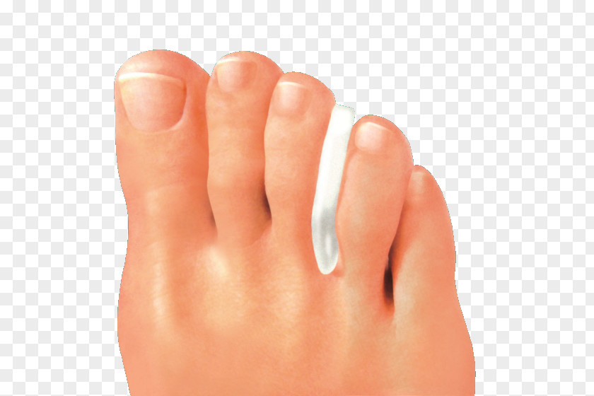 Toe Foot Digit Artikel Orthopaedics PNG