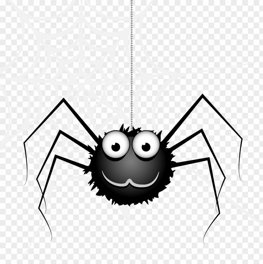 Vector Spider Web Clip Art PNG