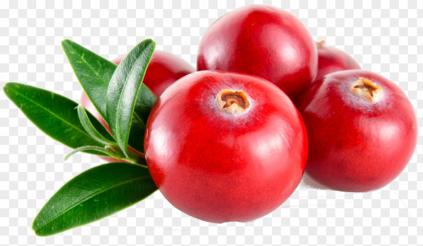 Cranberries Barbados Cherry Cranberry Juice Lingonberry Huckleberry PNG