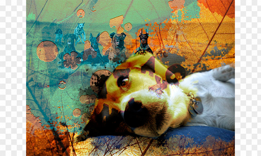 Dog Painting Desktop Wallpaper Snout Photography PNG