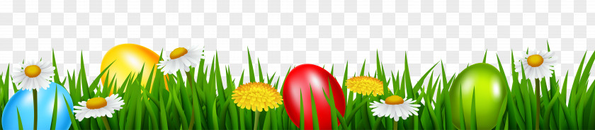 Easter Grass Transparent Clip Art Image Bunny Egg PNG