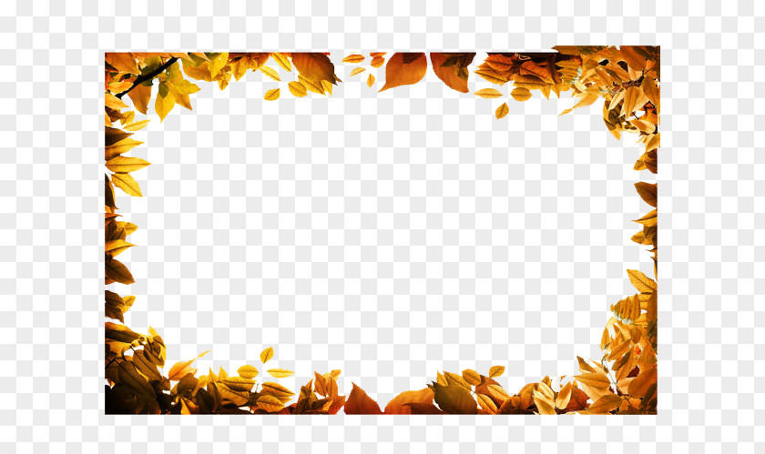 Gold Leaf Frame Video Autumn Color Clip Art PNG