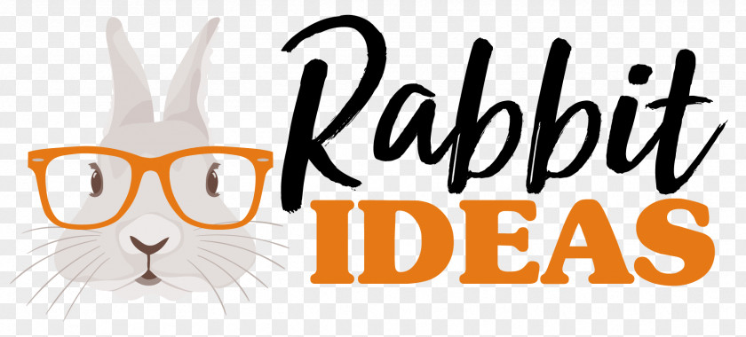 Kitten Whiskers Dear Zoo Animal Shapes Rabbit Holland Lop PNG