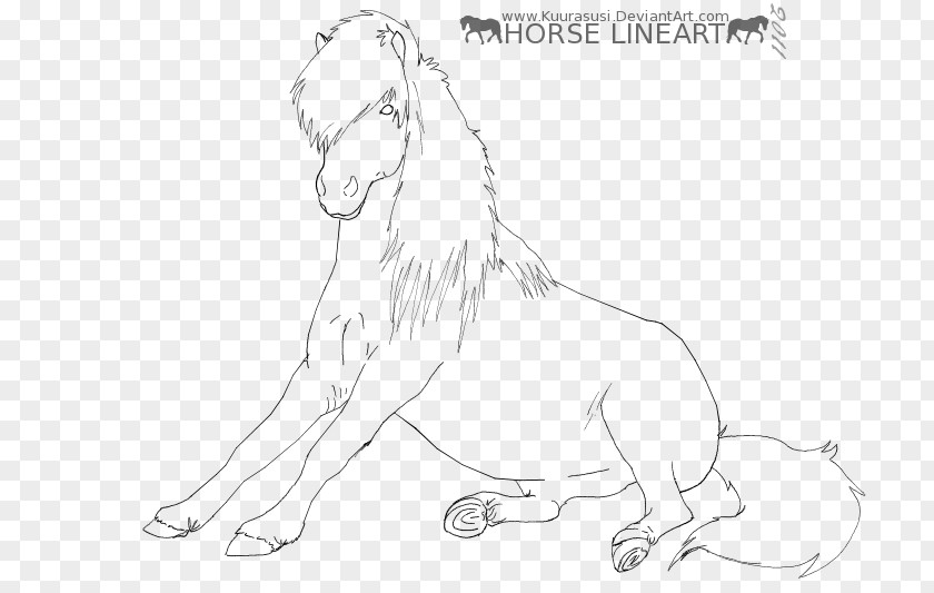 Mustang Cat Drawing Dog Pack Animal PNG