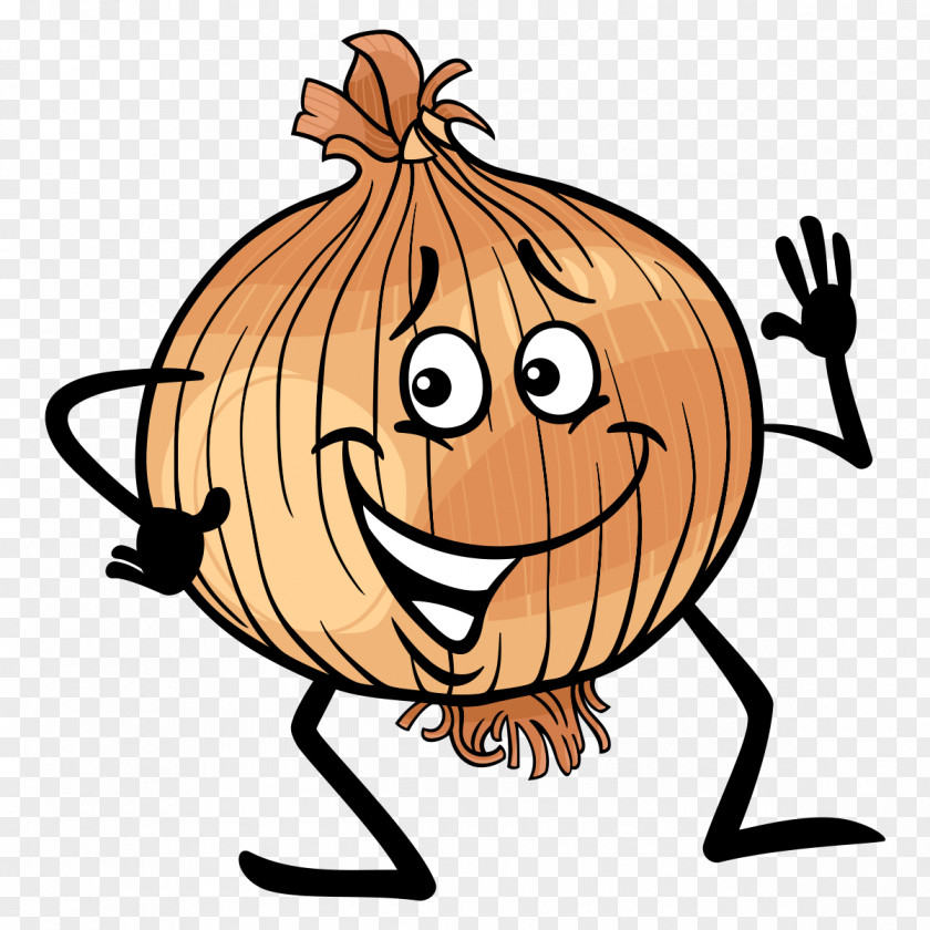 Onion Vector Graphics Cartoon Clip Art Illustration PNG