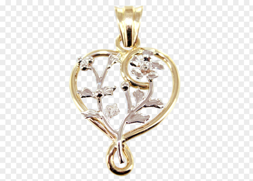 The Hunger Games Mockingjay Locket Necklace Jewellery PNG