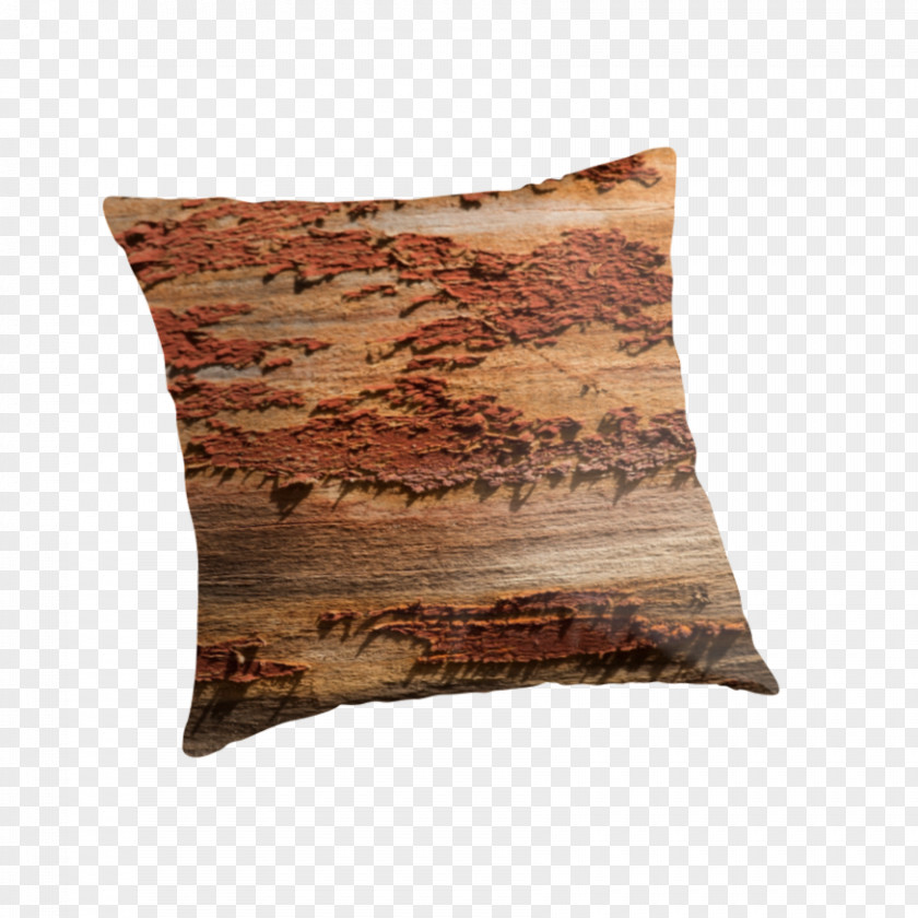 Wood Texture Throw Pillows Cushion PNG