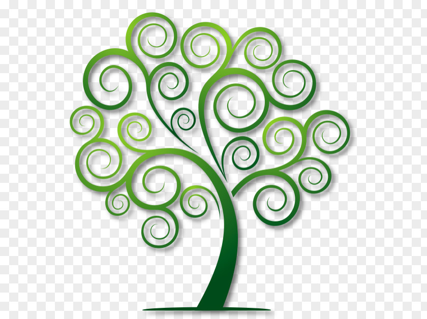 Banyan Tree Drawing Clip Art PNG