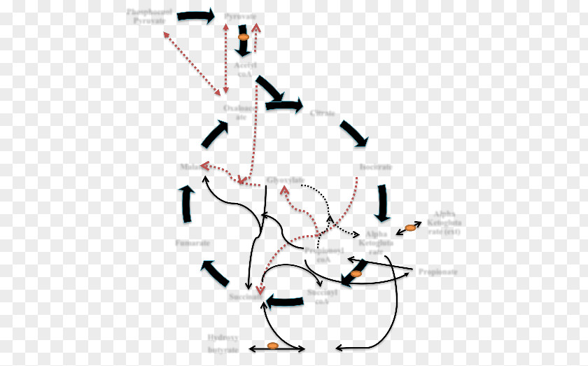 Technology Diagram PNG