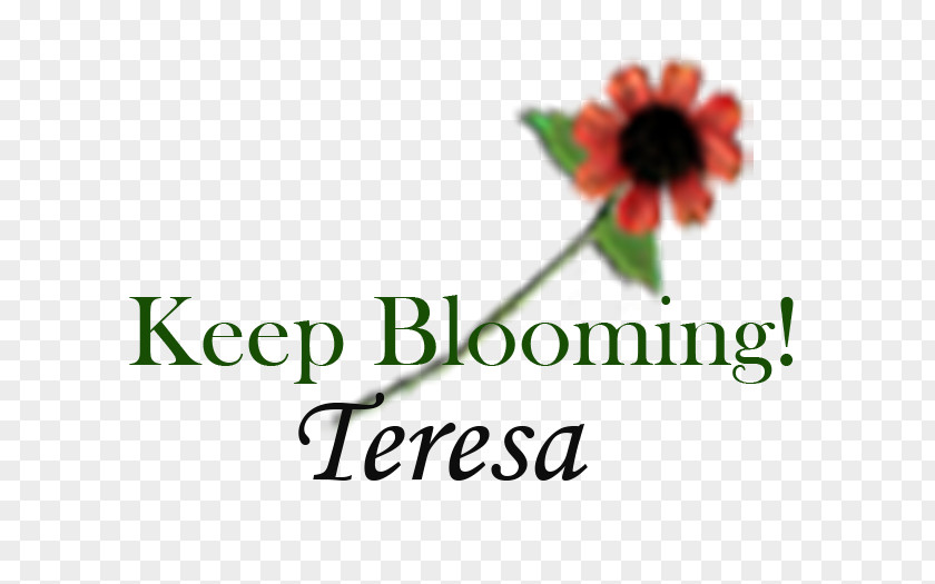 Blooming Sally Kamalaya Terraces Cebu Late Bloomer House Logo PNG