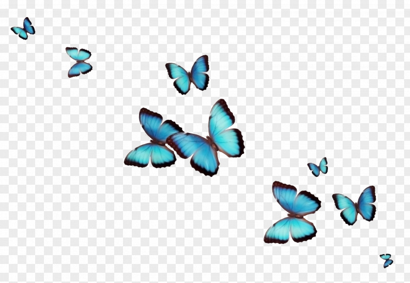 Butterfly Desktop Wallpaper Flower Clip Art PNG