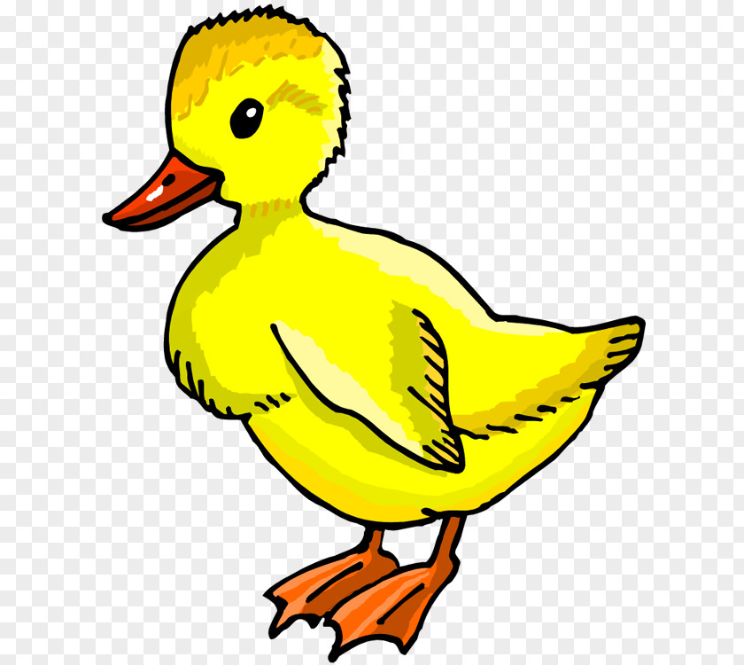Duck Clip Art Openclipart Image PNG