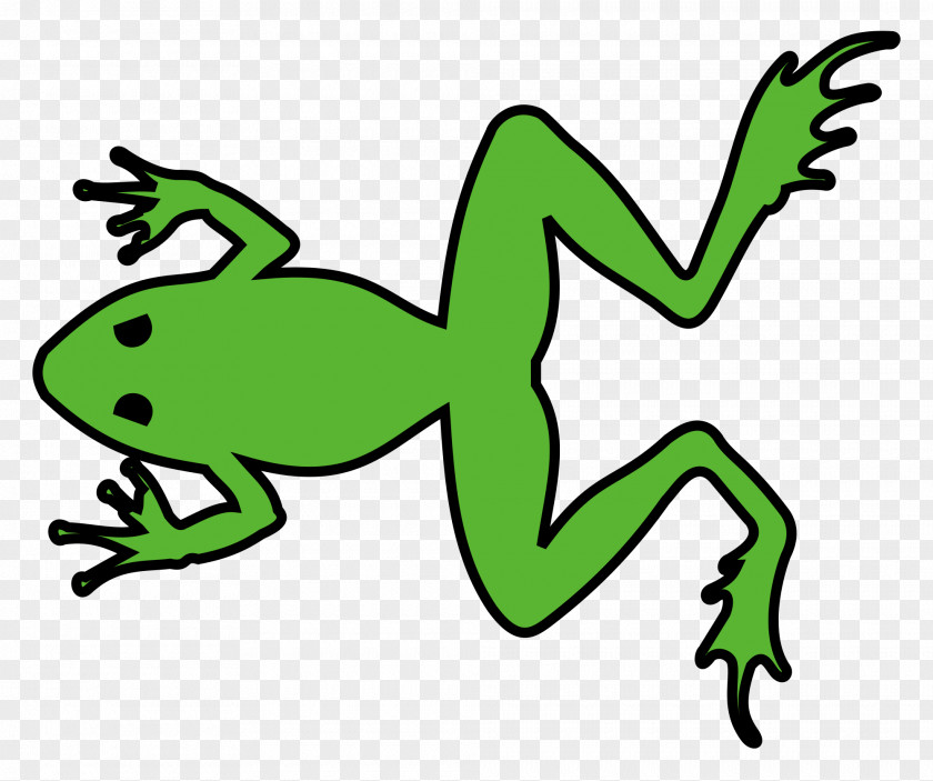 Frog Amphibian France Grenouille Verte Rainette PNG