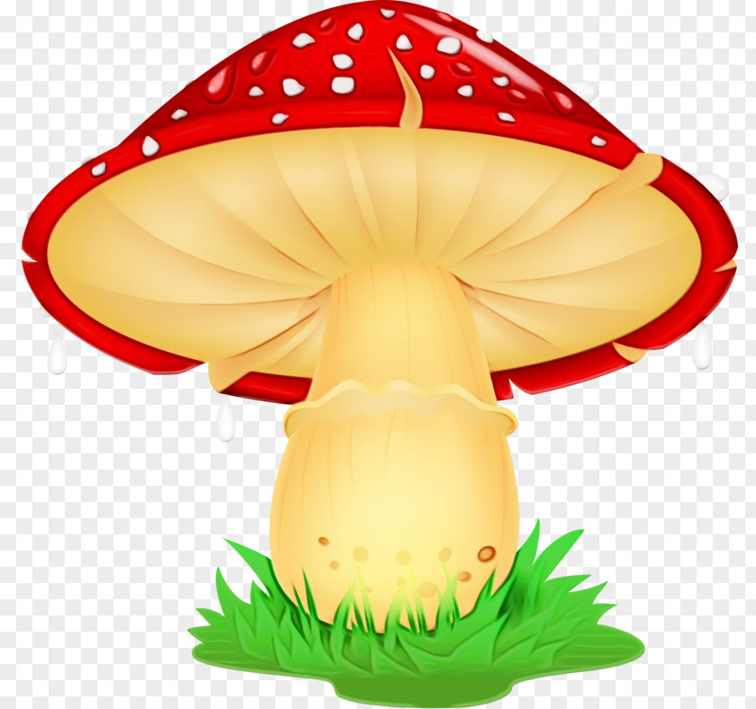Fungus Agaric Mushroom PNG