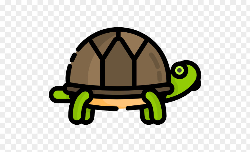 Turtle Icon Clip Art PNG
