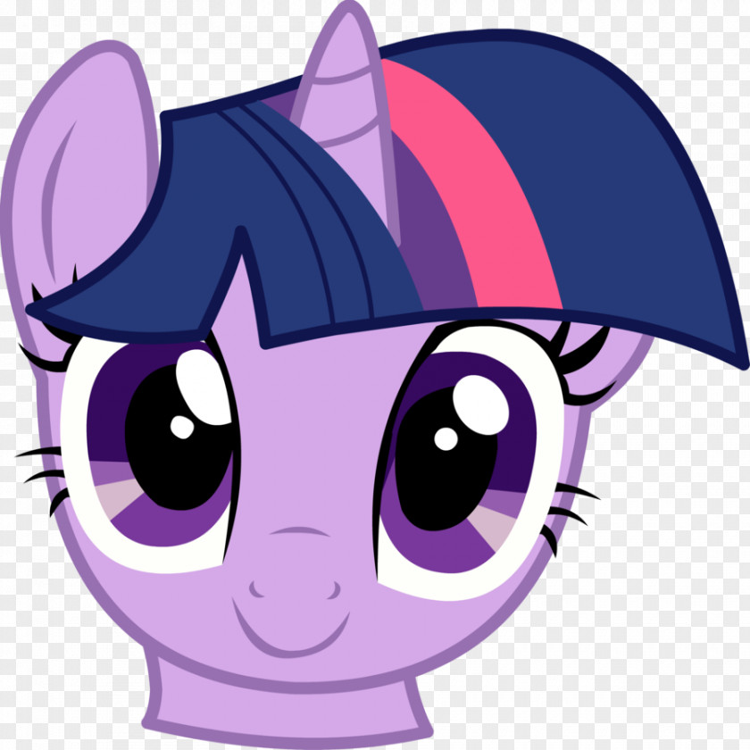 Twilight Sparkle My Little Pony Derpy Hooves PNG