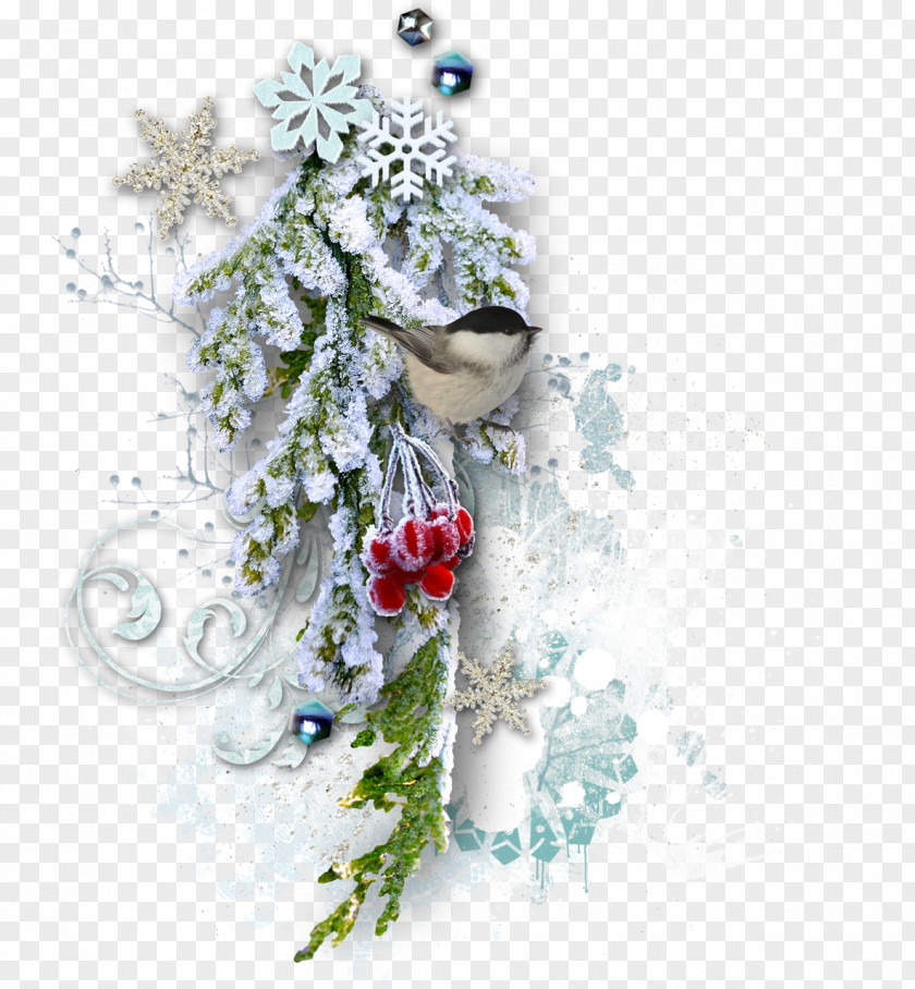 Winter Christmas Tree New Year Collage PNG