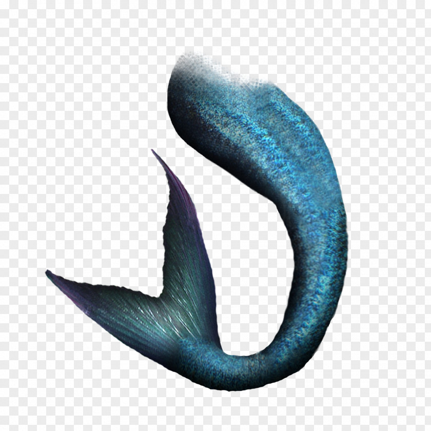 Blue Mermaid Tail Modification Vincent Tabak PNG