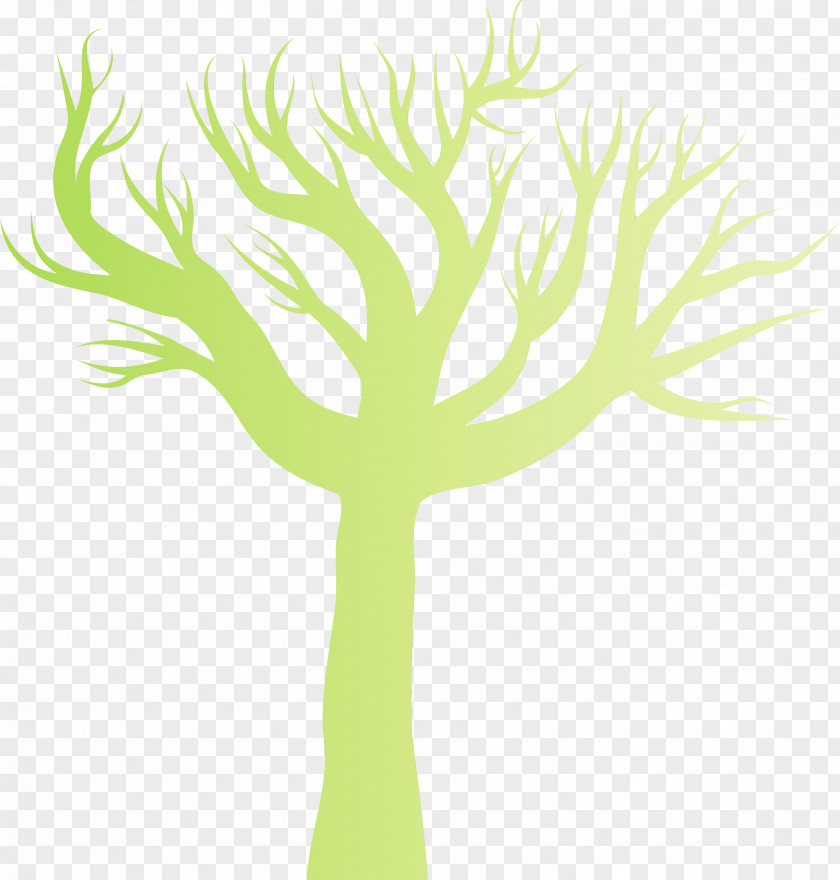 Green Tree Leaf Yellow Plant PNG