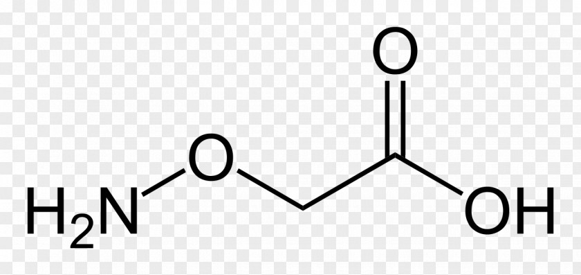 β-Alanine Amino Acid Taurine PNG