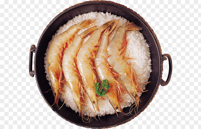 Anago Fish Slice Cuisine Food Dish Ingredient PNG