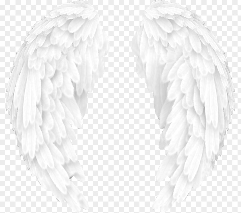 Black Angel And White Editing Wing PNG