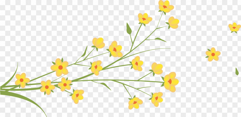 Flower Yellow Digital Image PNG