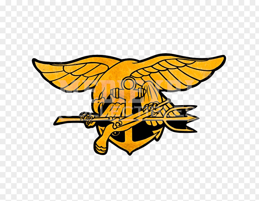 United States Navy SEALs Special Warfare Insignia The Seals PNG