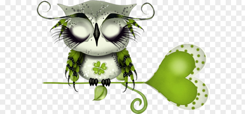 Cute Owl PNG owl clipart PNG