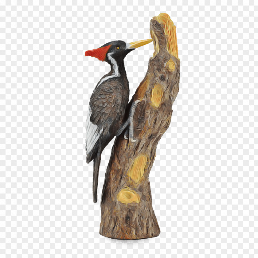 Ivorybilled Woodpecker Coraciiformes Bird Pileated Hornbill Piciformes PNG