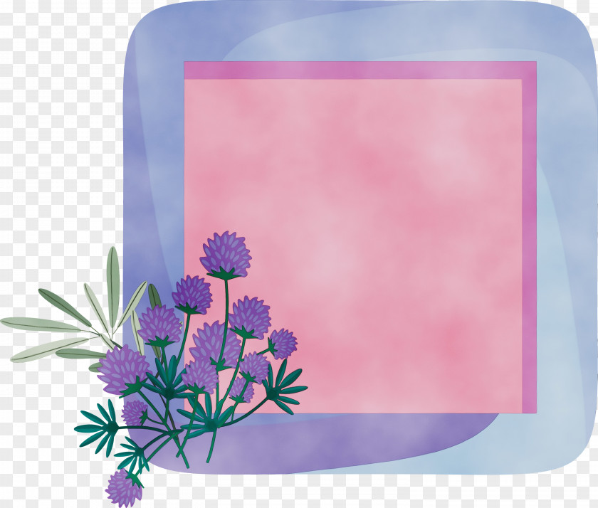 Picture Frame PNG