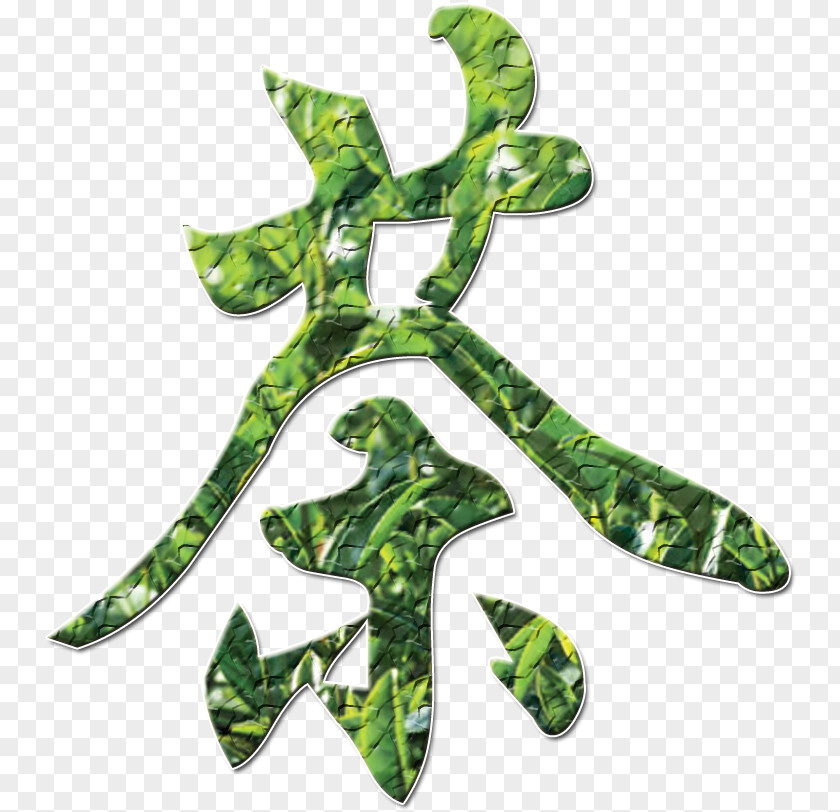 Tea Xinyang Maojian Kuding Green Chinese PNG